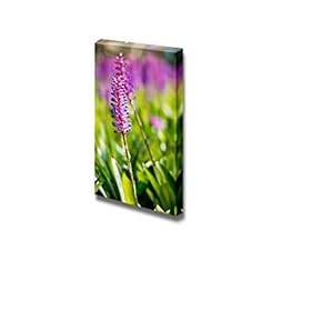 Single Bromeliad Wall Decor
