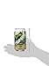 Hansen's Natural Cane Soda (Original Cola, 12 fl oz, Pack of 24)