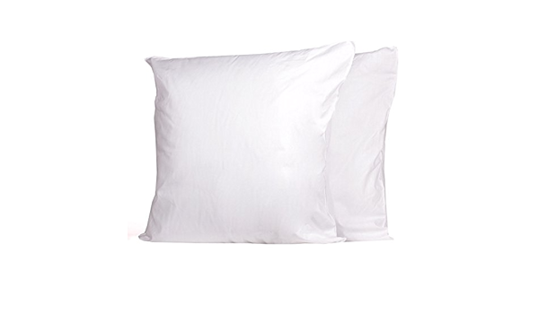 down pillow inserts 24x24