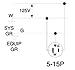 Leviton 5266-CA 15 Amp, 125 Volt, Angle Plug, Straight Blade, Industrial Grade, Grounding, Black-White (10 Pack)