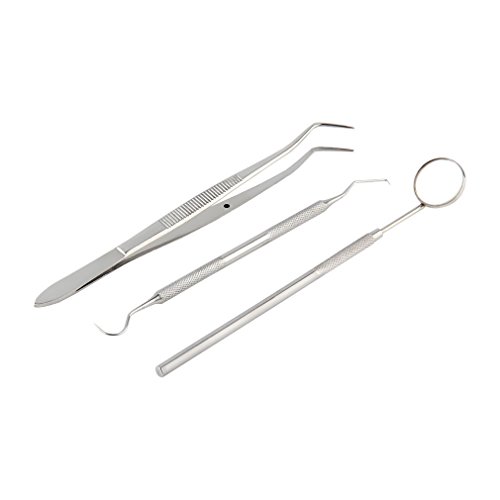 3Pcs Handle Stainless Steel Dental Tool Pick Pic Scaler Set Teeth Cleaning Tooth by Superdental
