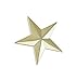 Forge 3D 5 Point Gold Star Lapel Pin (5 Pack)