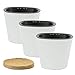 4 inch Self Watering Planter Pots with Succulent Foam Stone Grow a Indoor Window Sill Garden Perfect for Potting Smaller House Plants Herbs Succulents or Start Seedlingsthumb 1
