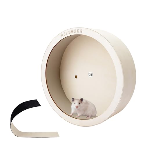 HJLSWXKQ Wooden Exercise Wheel
