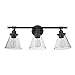 GLOBE Electric 51411 Parker 3-Light Bathroom Light Fixtures, Oil Rubbed Bronze Bathroom Vanity Light, Farmhouse Bathroom Lights Over Mirror with Clear Glass Shades, Bulb Not Included