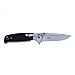 Ganzo G7522 Folding Hunting Pocket EDC Handle Knife (Black)