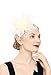 Cizoe Fascinators Hat for Women Tea Party Headband Kentucky Derby Wedding Flower Cocktail Mesh Feathers Hair Clip(1-Beige)