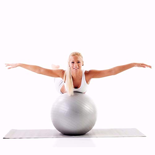 ATIVAFIT Pink Exercise Ball 21.7" Anti Burst Resistant Yoga Ball for Pregnant Women Gym, Home, Office(Gray) - Thumbnail 4