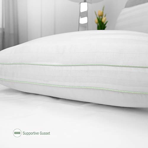 BioPEDIC 300 Thread Count Plush Filled Gusseted Bed Pillow with Ultra