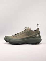 Arc'teryx Vertex Alpine GTX Shoe Men's | Fast and
