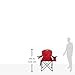 Coleman Portable Camping Chair with 4-Can Cooler, Fully Cushioned Seat and Back with Side Pocket and Cup Holder, Carry Bag Included, Collapsible Chair for Camping, Tailgates, Beach, and Sports