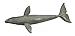 Safari Ltd. Gray Whale Figurine - Lifelike 12.5