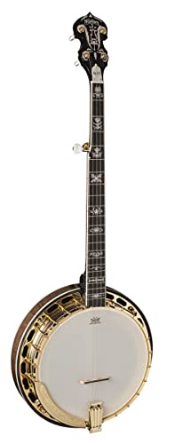 Washburn Americana Series B17K-D 5 String Banjo Sunburst at Amazon