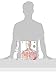 The Human Body Book
