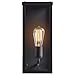 Rivet Mid-Century Clear Glass and Metal Wall Sconce with Bulb, 14