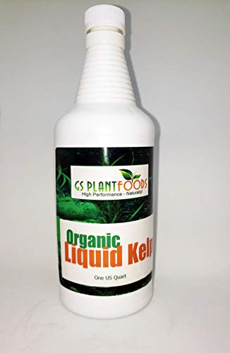 Best 32 Oz. Super Natural Liquid Lawn Fertilizer