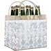 Chill It 6 Clear- Freezable Chill It 6-Pack Bag