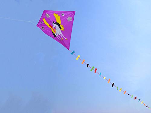 Zhuoyue Diamond Kite for Kids and Adults, Single Line Easy to Fly Beginner Kite with Long Tail,Funny and Ripstop Fabric Outdoor Toys - Thumbnail 3