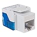 ICC CAT5e RJ45 Keystone Jack for EZ® Style, Blue, 25-Pack