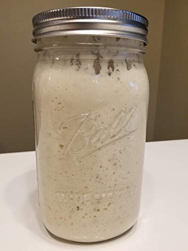 Organic San Francisco Sourdough Starter Dehydrated