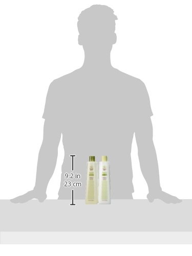 Trader Joe's Tea Tree Tingle Shampoo & Conditioner, 16 oz.