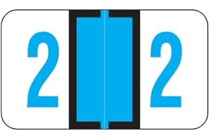 Doctor Stuff - File Folder Labels, Number 2, Jeter 6190 Match - JXNM Series Chart Stickers, Blue, 15/16" x 1-5/8", #2, 500/Roll