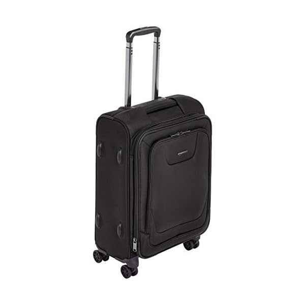 amazon basic carry on