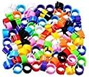 Hehing nabati Rings 100?Pcs/Set Rings for Birds &amp; Pigeon
