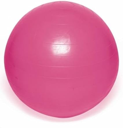 everlast stability ball