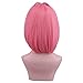 Yilys Short Pink Halloween Costume Wig With 2 Ponytails For Woman and Girls