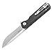 Firebird GANZO FH11 Folding Knife with Liner Lock (Carbon Fiber[FH11-CF])