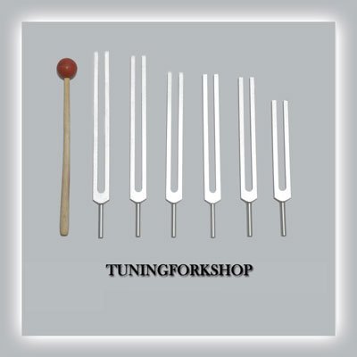 Tuningforkshop 6 Pc Solfeggio Tuning Fork Including 528 Hz with Mallet+Pouch