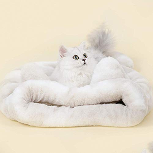 cat pouch bed