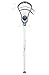 Warrior 2017 Evo Mini Stick, White