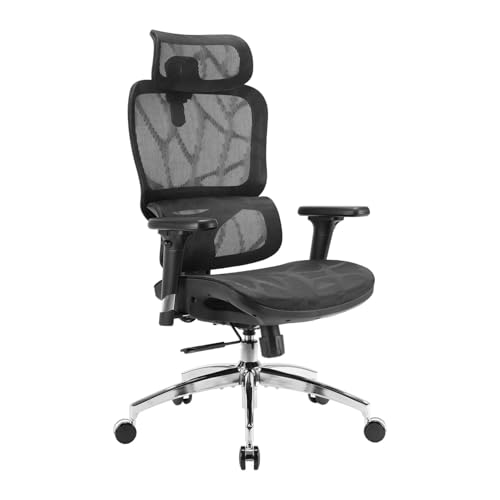 SIHOO M56B Ergonomic Office Chair, High Back Desk Chair, Lumbar Support, Swivel Computer Task Chair with Adjustable Headrest, Tilt Function, Black