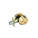 Lion Locks LDCO101 Single Cylinder Deadbolt, Polished Brass