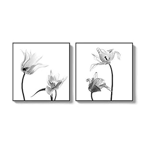 2 Piece Framed for Living Room Bedroom Transparent...