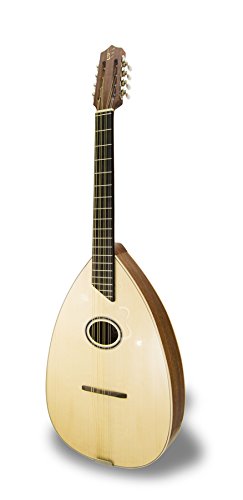 APC instruments MON307 C8 Algerian Mondol