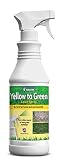 NaturVet - Yellow to Green Lawn Spray - Rids Lawn of Pet Urine Spots Immediately - Provides Instant Green Color - 32 oz