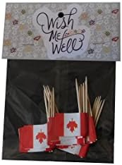 Canada Toothpick Flag Cupcake Toppers *Set of 20*