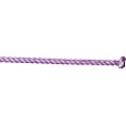 NRS 2-Ply Goat String Purple