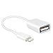 OOKKOO USB Adapter,USB Female OTG Adapter Cable Connect Kit for Ipad 4 Ipad Air Ipad Mini 5s 6 6s(White)