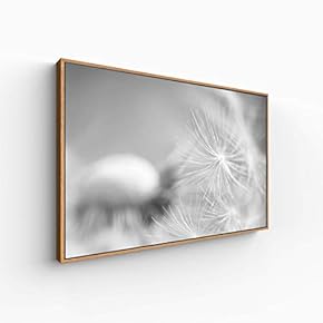 Canvas Wall Art for Living Room, Bedroom Monochrome Plants Framed Canvas Prints for Home Decoration Ready to Hang - 16x24 inches