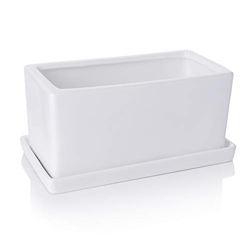 Greenaholics Succulent Plant Pot - 10Inch Rectangle Ceramic Planter with Saucer, Window Box, for Small Plant, White