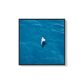 Framed Canvas Home Artwork Decoration Night Canvas Wall Art for Living Room, Bedroom - 16x16 inches