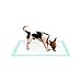 Puppy Pads Super Absorbent Leak-Proof 100 Count Dog Pee Training Pads 22 x 23 inch