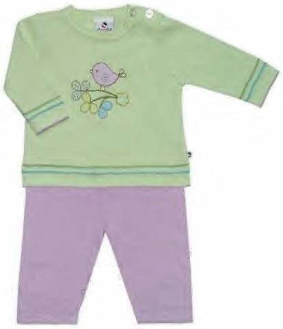 Baby Girl Lilac & Green Little Bird Cotton Knit Crew Neck Sweater Pant Set 0/3M