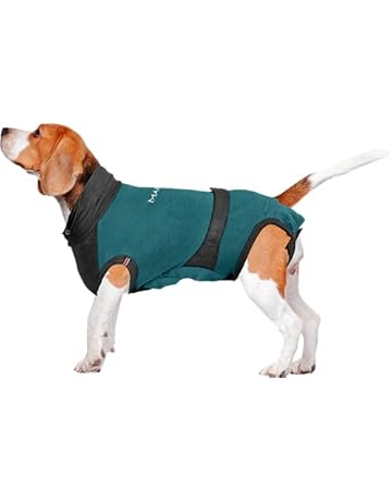 chihuahua outfits amazon