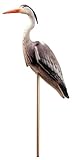 Laguna Blue Heron
