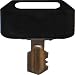 Poulan Pro Ignition Key PP60005 primary